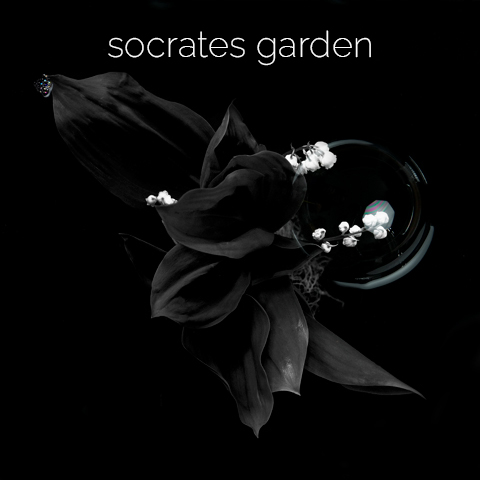 socrates garden